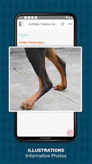 Veterinary Advisor: Dogs Cats screenshot 3