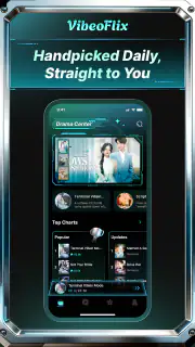 VibeoFlix screenshot 2