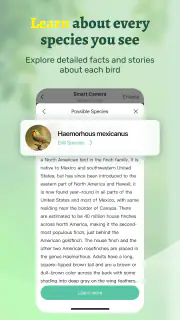Vico Nature: Smart Nature View screenshot 7