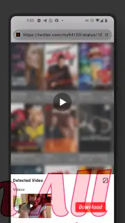 Video Browser screenshot 3