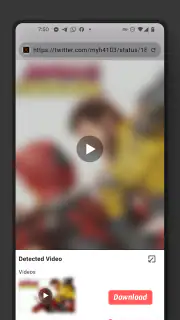 Video Browser screenshot 4