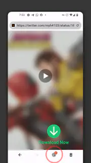 Video Browser screenshot 5