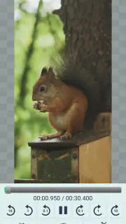 Video Cutter Pro screenshot 3
