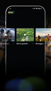 VidVast screenshot 2