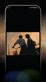 VidVast screenshot 4