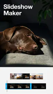 Vimeo Create - Video Editor screenshot 7
