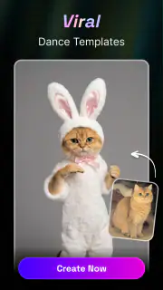 Viramuse AI Video Generator screenshot 5