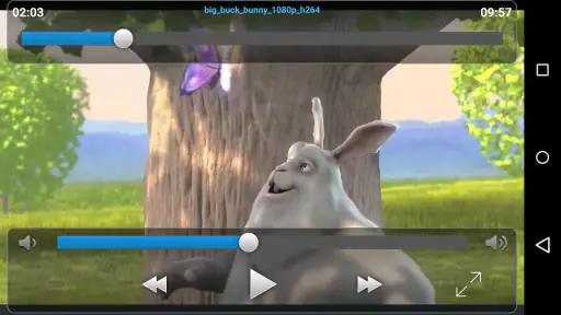 VLC Streamer screenshot 8