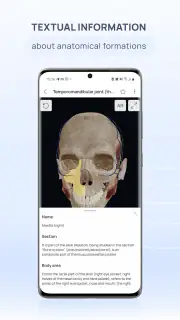 VOKA 3D Anatomy and Physiology screenshot 5