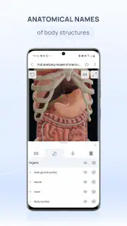 VOKA 3D Anatomy and Physiology screenshot 6