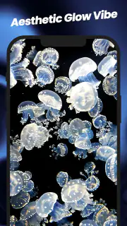 Wallpapers: 4K Live Wallpapers screenshot 5