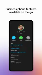 Webex screenshot 7