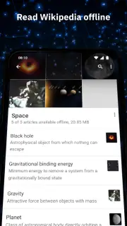 Wikipedia screenshot 2