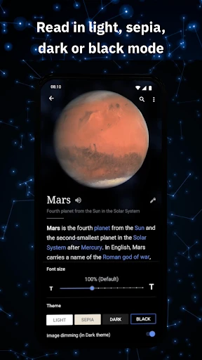 Wikipedia screenshot