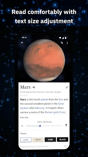 Wikipedia screenshot