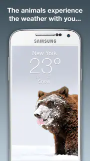Wildlife Weather screenshot 2
