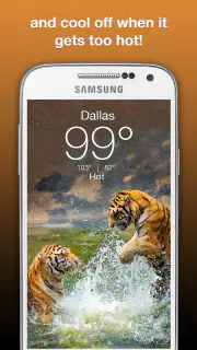 Wildlife Weather screenshot 3