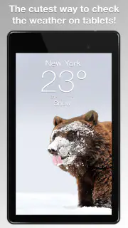 Wildlife Weather screenshot 6