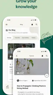 Willow screenshot 6