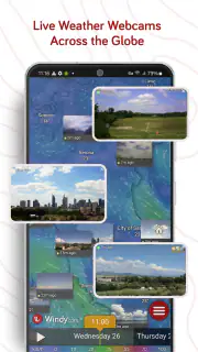 Windy.com - Weather Forecast screenshot 7
