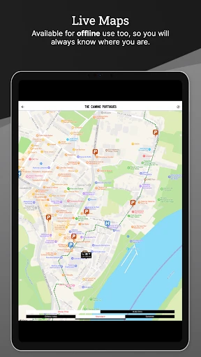Wise Pilgrim Camino Portugués screenshot