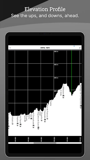 Wise Pilgrim Camino Portugués screenshot