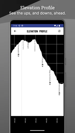 Wise Pilgrim Camino Portugués screenshot