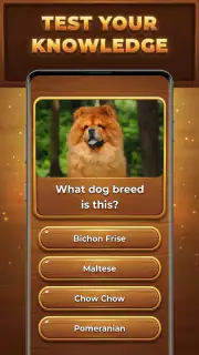 Wood Quiz Blast: Trivia Blocks screenshot 2