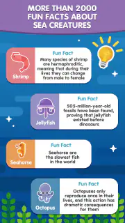 Word Search Sea: Offline Games screenshot 7