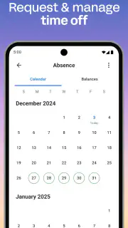 Workday screenshot 6