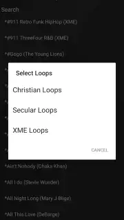 XME LOOPS screenshot 4