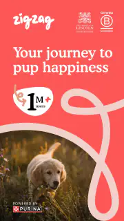 Zigzag - Dog & Puppy Training screenshot 1