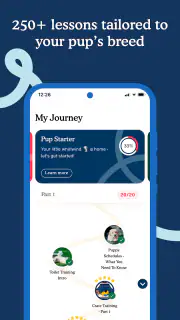 Zigzag - Dog & Puppy Training screenshot 3