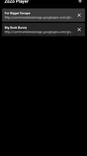 ZoZo Player - URL Video Player screenshot 7