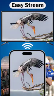 AirPlay screenshot 8
