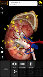 Anatomie - Atlas 3D screenshot 5