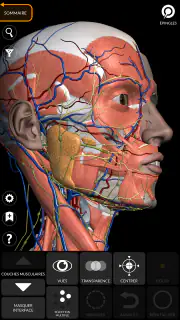 Anatomie - Atlas 3D screenshot 6