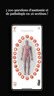 Anatomist - Le Jeu d'Anatomie screenshot 1