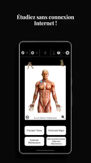 Anatomist - Le Jeu d'Anatomie screenshot 3