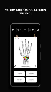 Anatomist - Le Jeu d'Anatomie screenshot 4