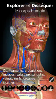 Anatomy Learning - Anatomie 3D screenshot 7