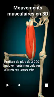 Anatomy Learning - Anatomie 3D screenshot 8