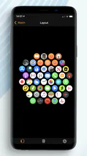 Apple Watch for Android screenshot 3