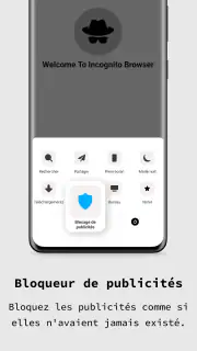 Application navigateur privé screenshot 2