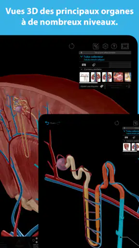 Atlas d'anatomie humaine 2025 screenshot