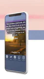 Bible King James Française screenshot 4