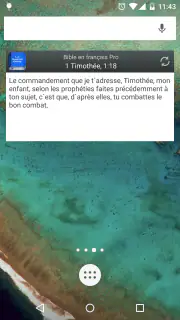 Bible Louis Segond PRO screenshot 8