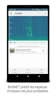 BirdNET screenshot 3