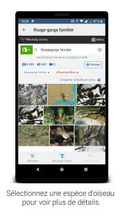 BirdNET screenshot 4