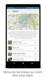 BirdNET screenshot 5